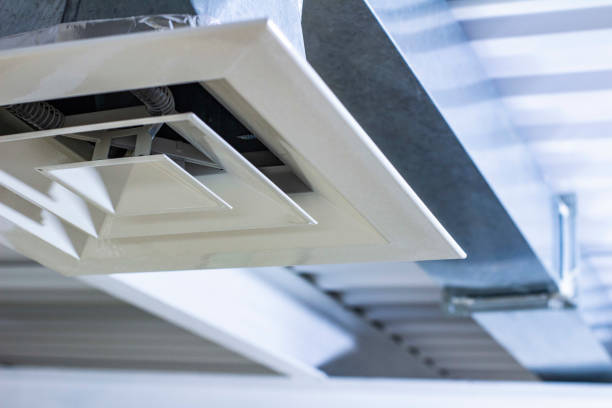 Air Duct Mold Removal in Hawley, PA